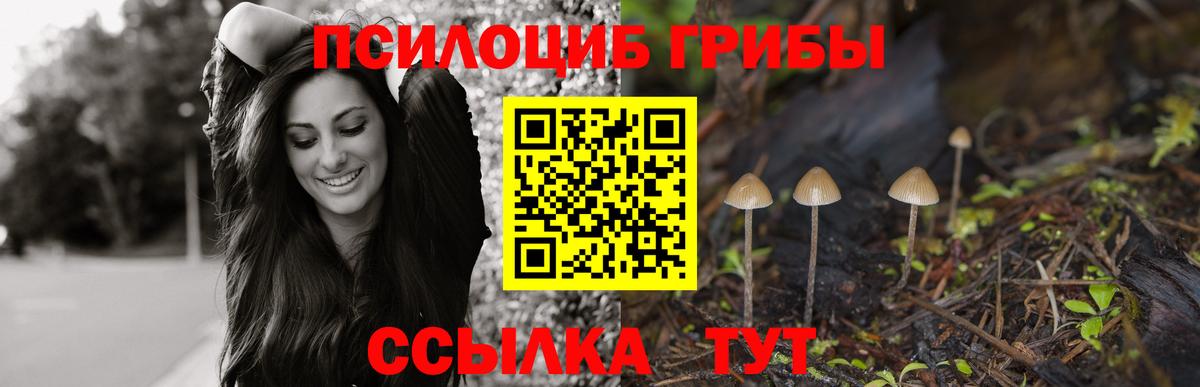 Псилоцибиновые грибы MAGIC MUSHROOMS Алексин